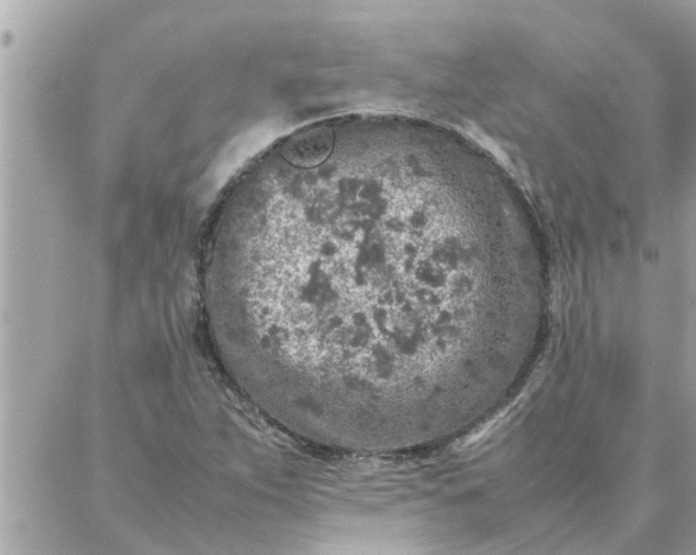 X0000087361263200705041846