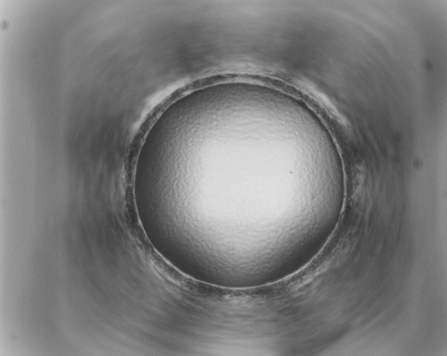 X0000087361264200705041846