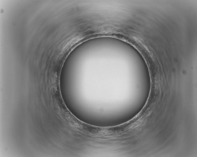 X0000087361265200705041846