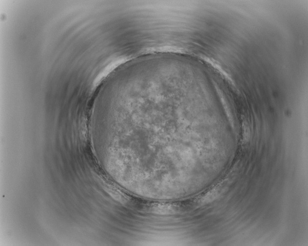 X0000087361266200705041846