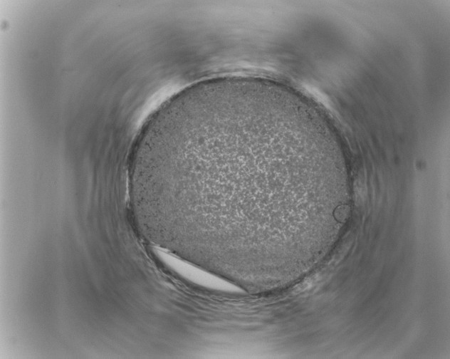 X0000087361267200705041846