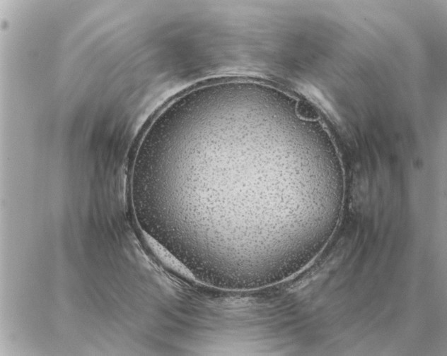 X0000087361268200705041846