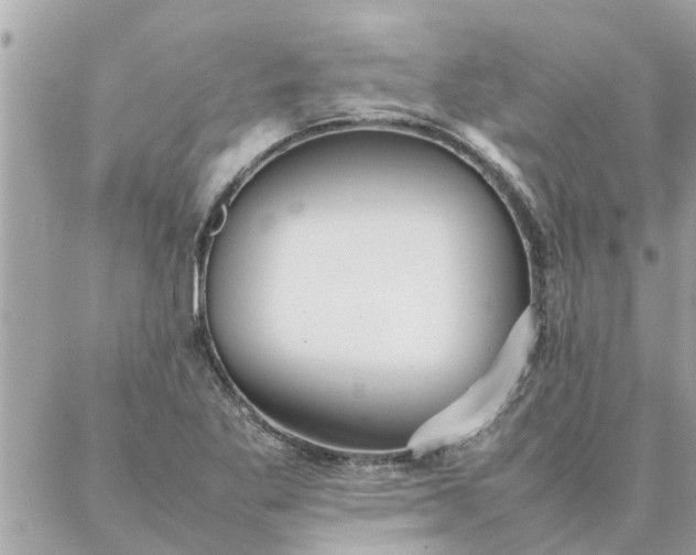 X0000087361269200705041846