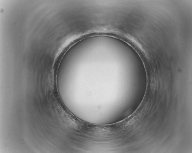 X0000087361270200705041846