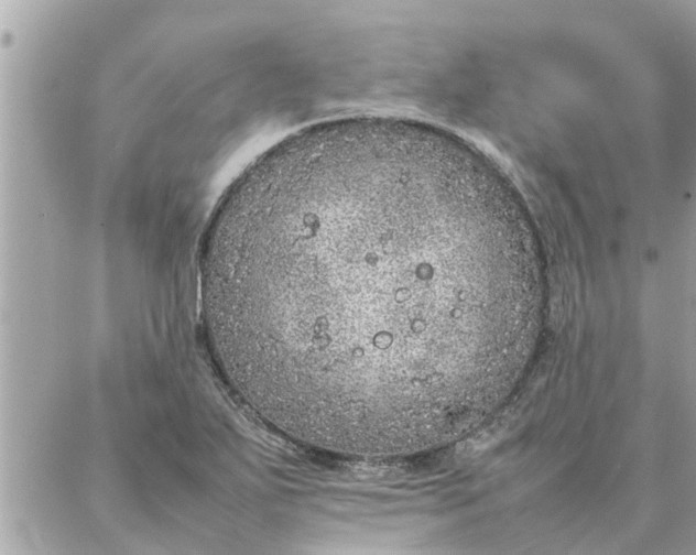 X0000087361271200705041846