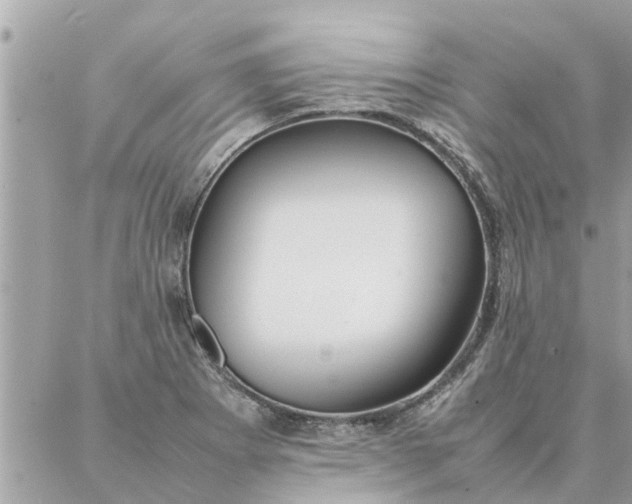 X0000087361273200705041846