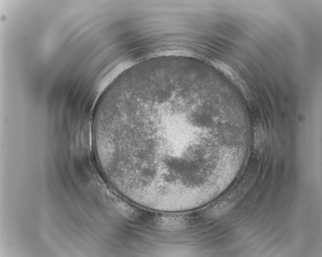 X0000087361274200705041846