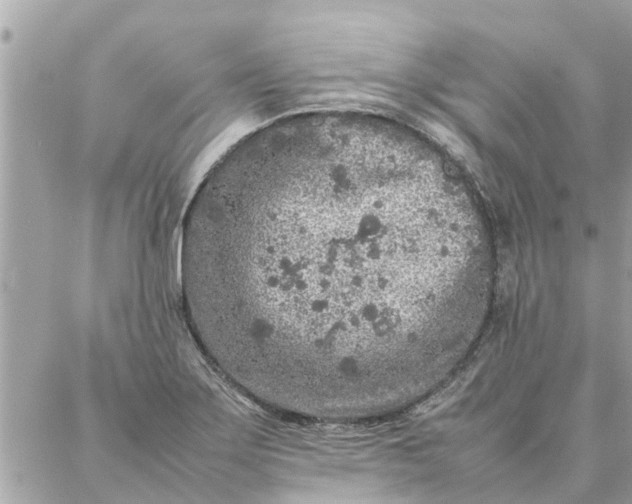 X0000087361275200705041846