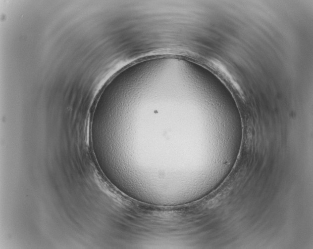 X0000087361276200705041846