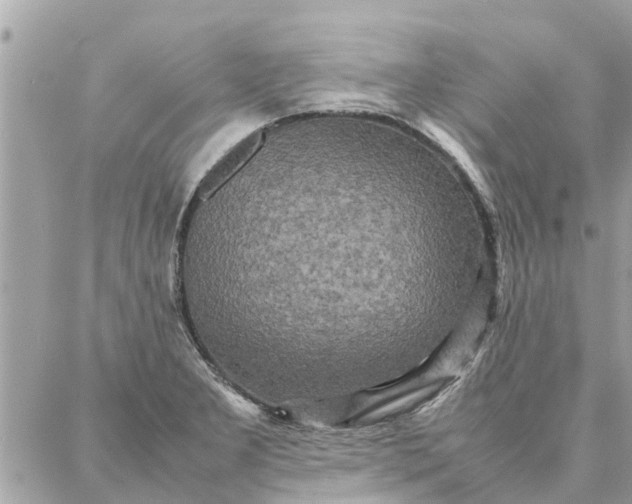 X0000087361277200705041846