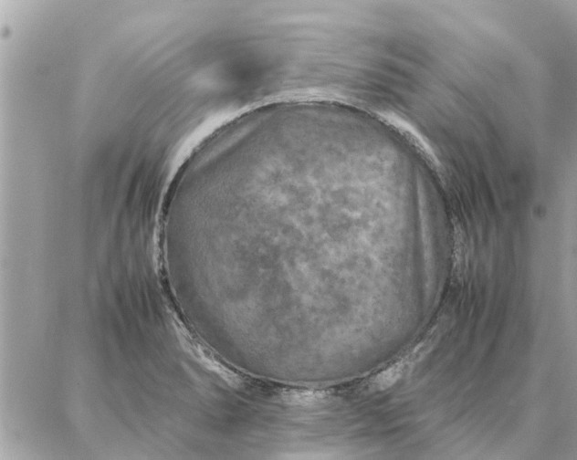 X0000087361278200705041846