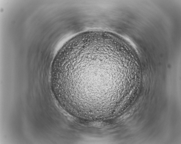 X0000087361279200705041846