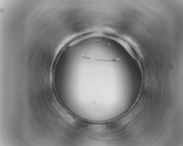 X0000087361280200705041846