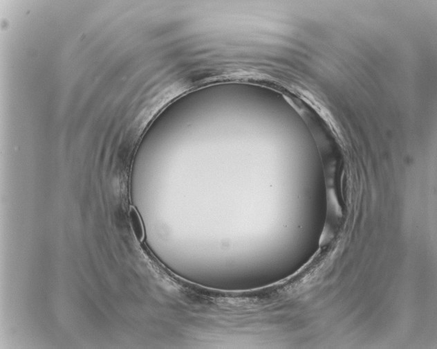 X0000087361281200705041846