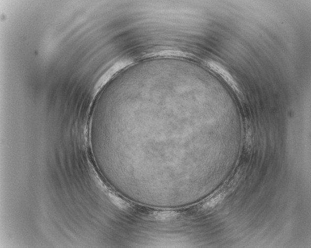 X0000087361282200705041846