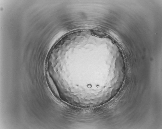 X0000087361283200705041846