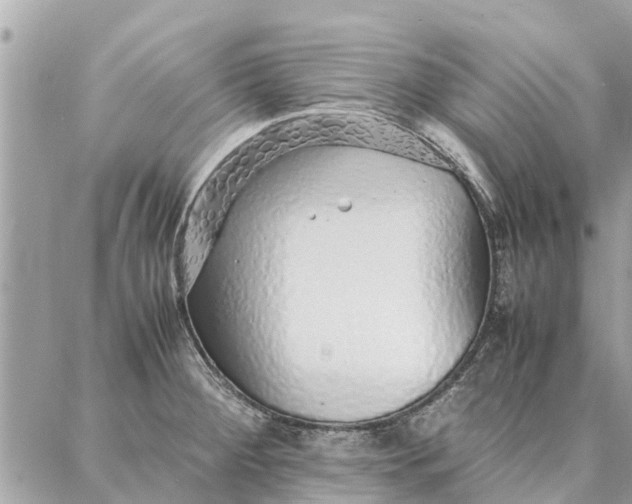 X0000087361284200705041846