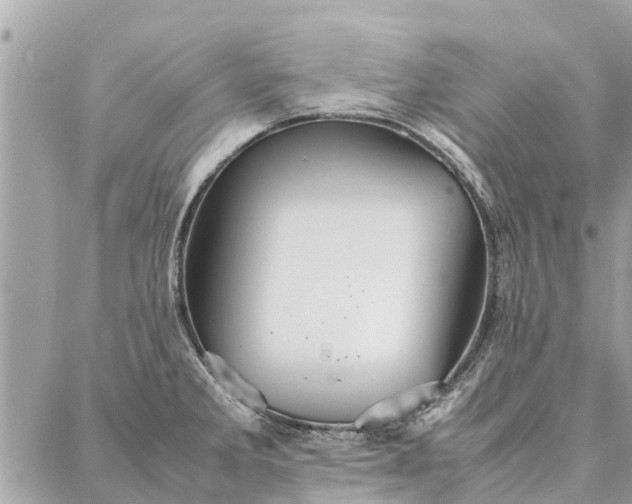 X0000087361285200705041846