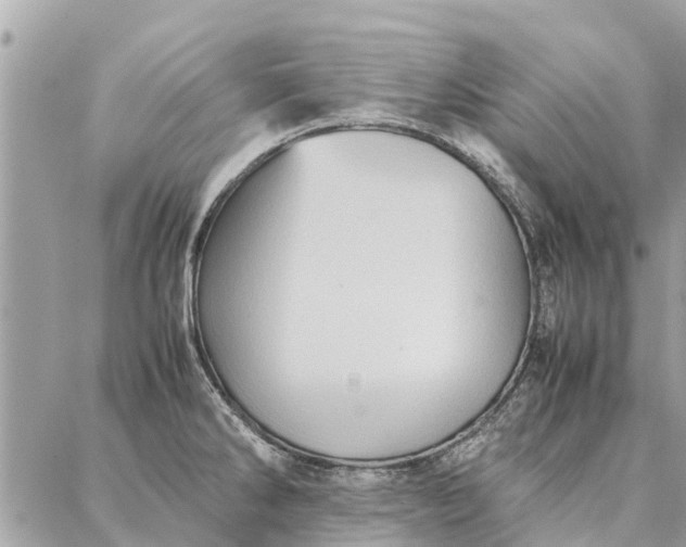 X0000087361286200705041846