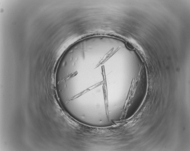 X0000087361287200705041846