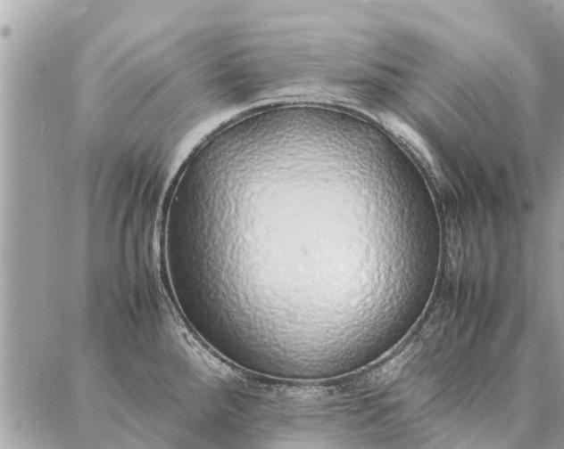 X0000087361288200705041846