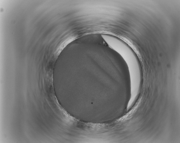 X0000087361289200705041846