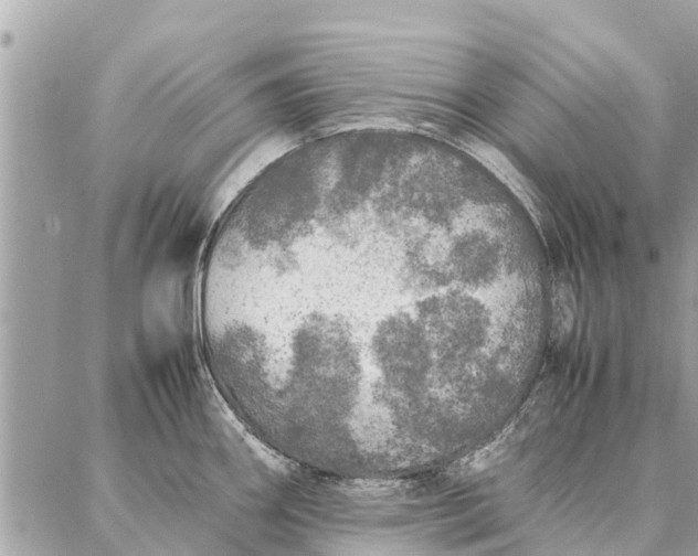 X0000087361290200705041846