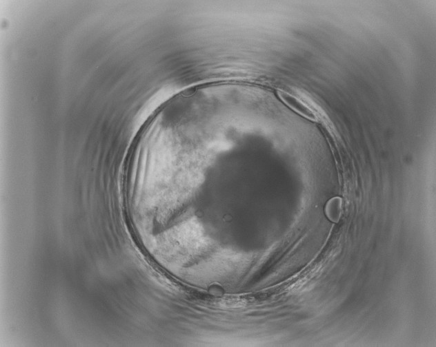 X0000087361291200705041846