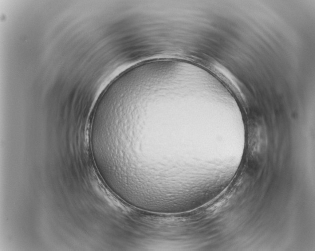 X0000087361292200705041846