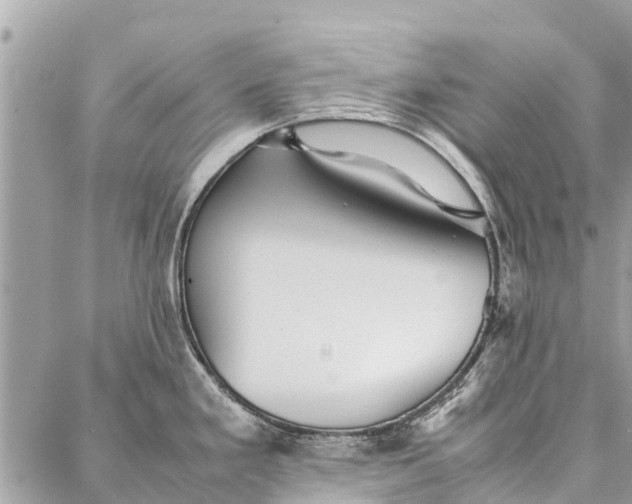 X0000087361293200705041846