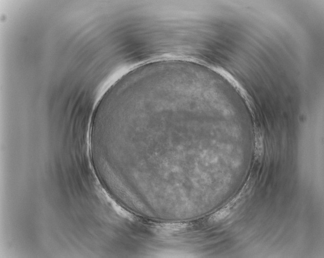 X0000087361294200705041846