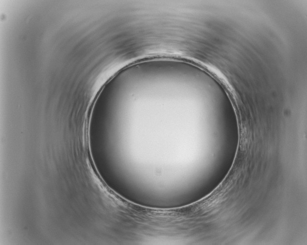 X0000087361295200705041846