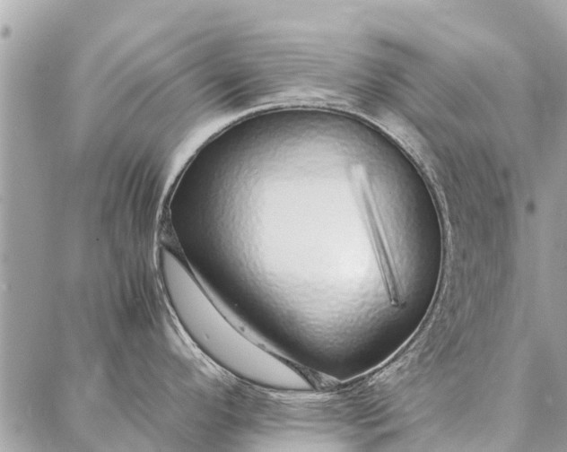 X0000087361296200705041846