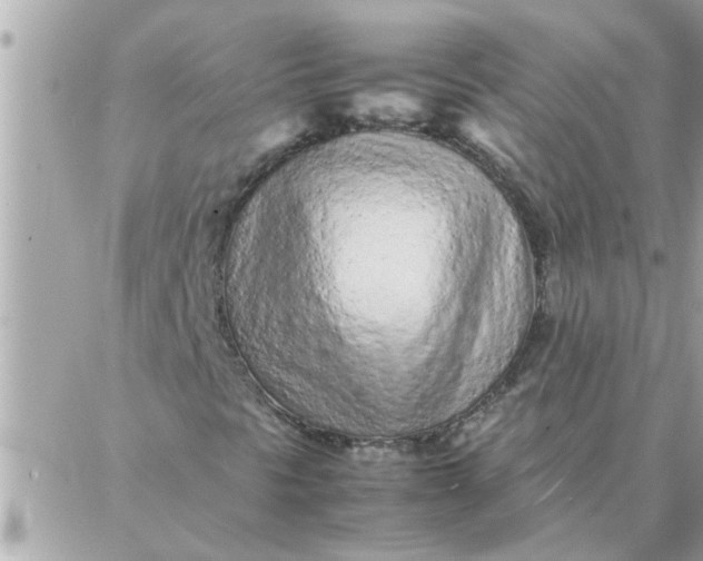 X0000087361297200705041845