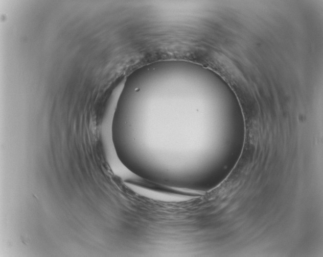 X0000087361298200705041845