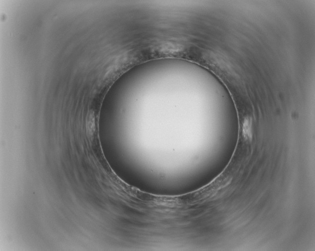 X0000087361299200705041845