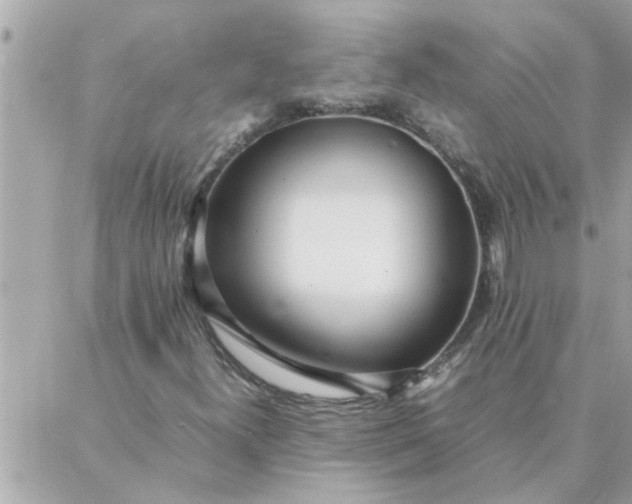 X0000087361300200705041845