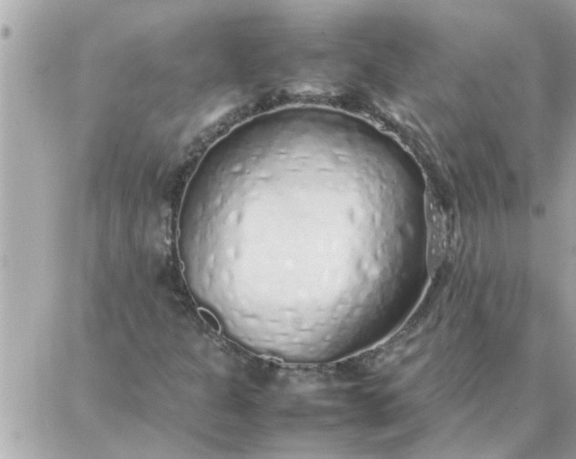 X0000087361301200705041845