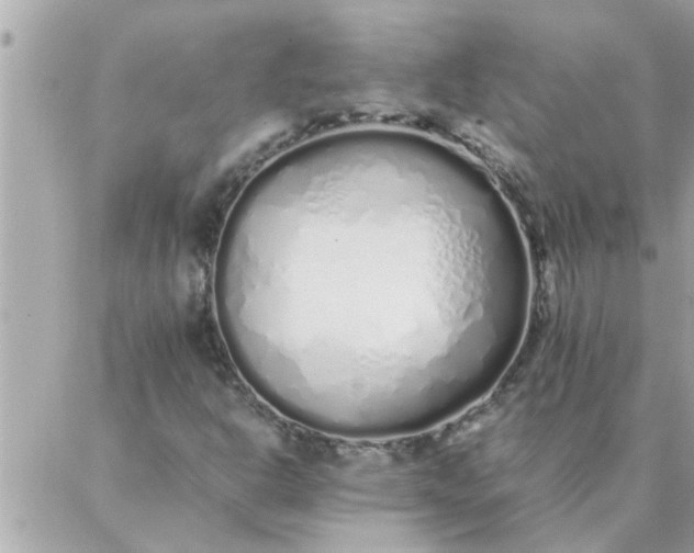 X0000087361302200705041845