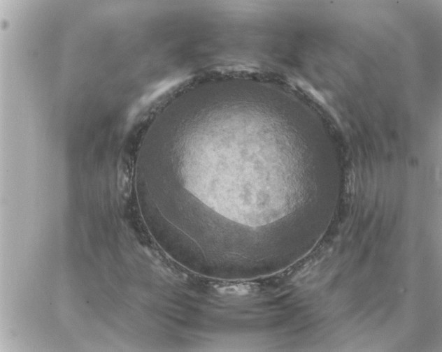 X0000087361303200705041845