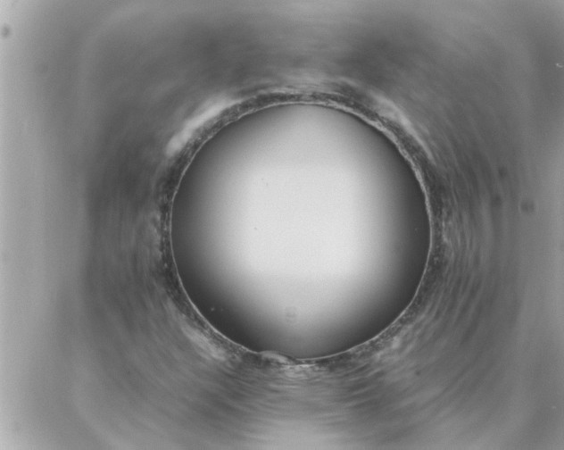 X0000087361304200705041845