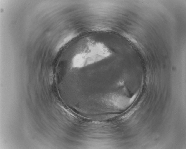 X0000087361306200705041845