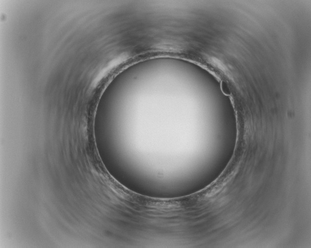 X0000087361307200705041845