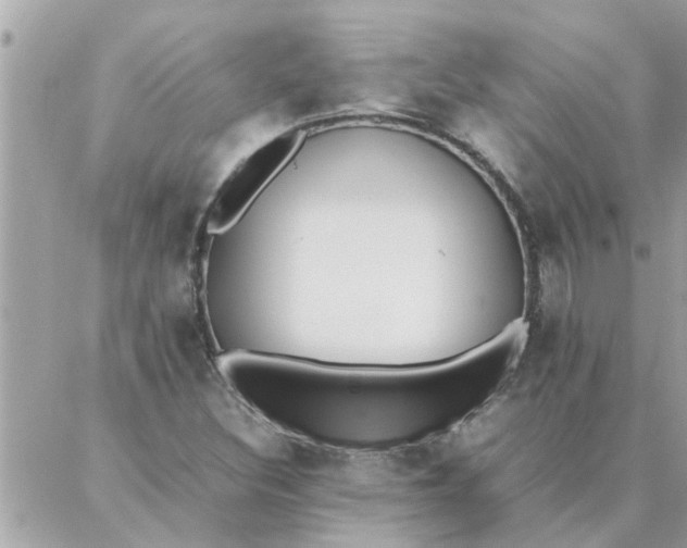 X0000087361308200705041845