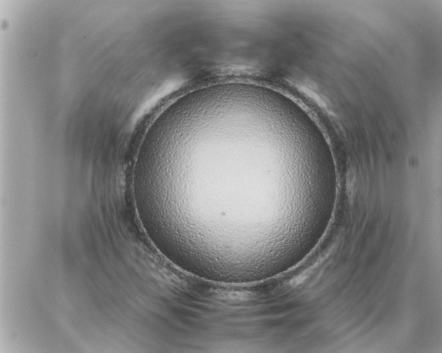 X0000087361309200705041845