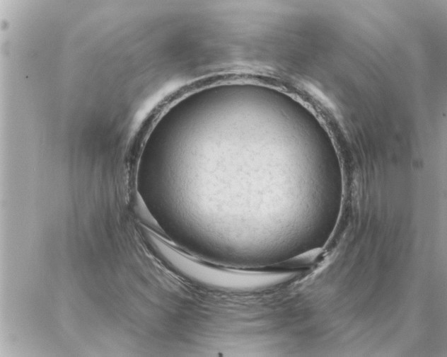 X0000087361310200705041845