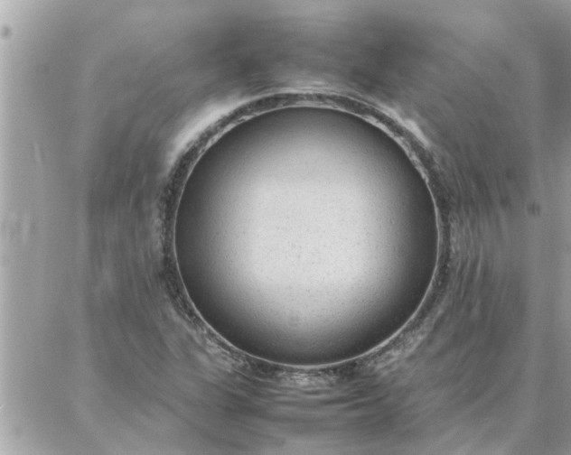 X0000087361311200705041845