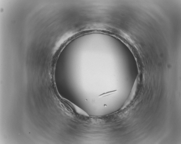 X0000087361312200705041845