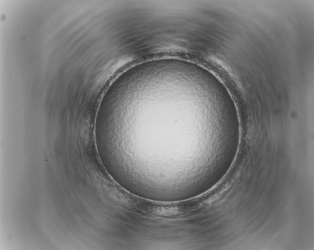 X0000087361313200705041845