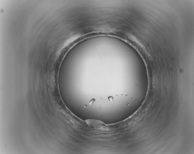 X0000087361315200705041845